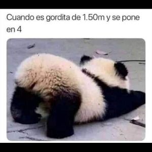 Meet your Posher, Armando